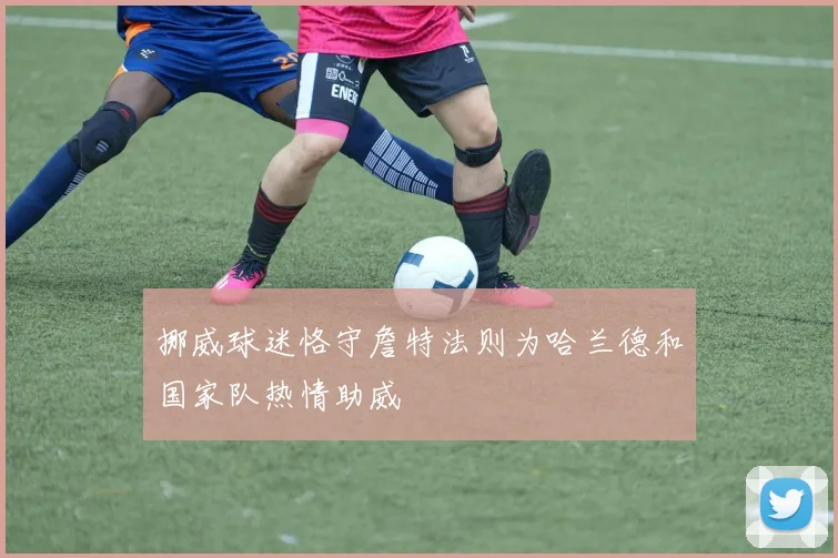 挪威球迷恪守詹特法则为哈兰德和国家队热情助威