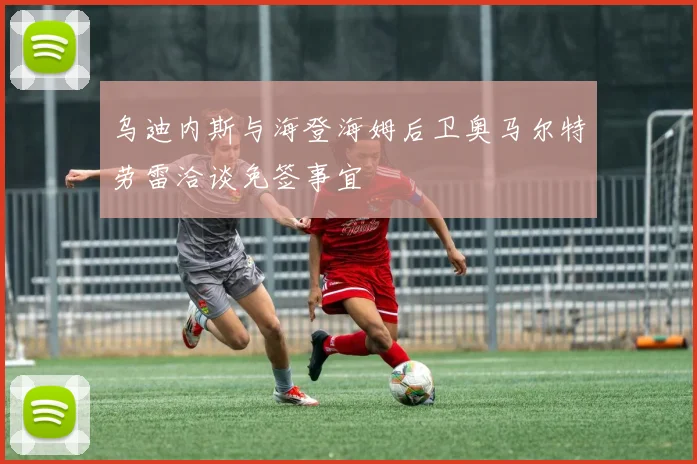 乌迪内斯与海登海姆后卫奥马尔特劳雷洽谈免签事宜